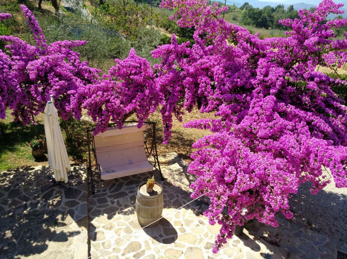 Agriturismo Il Marchese Aquara Экстерьер фото