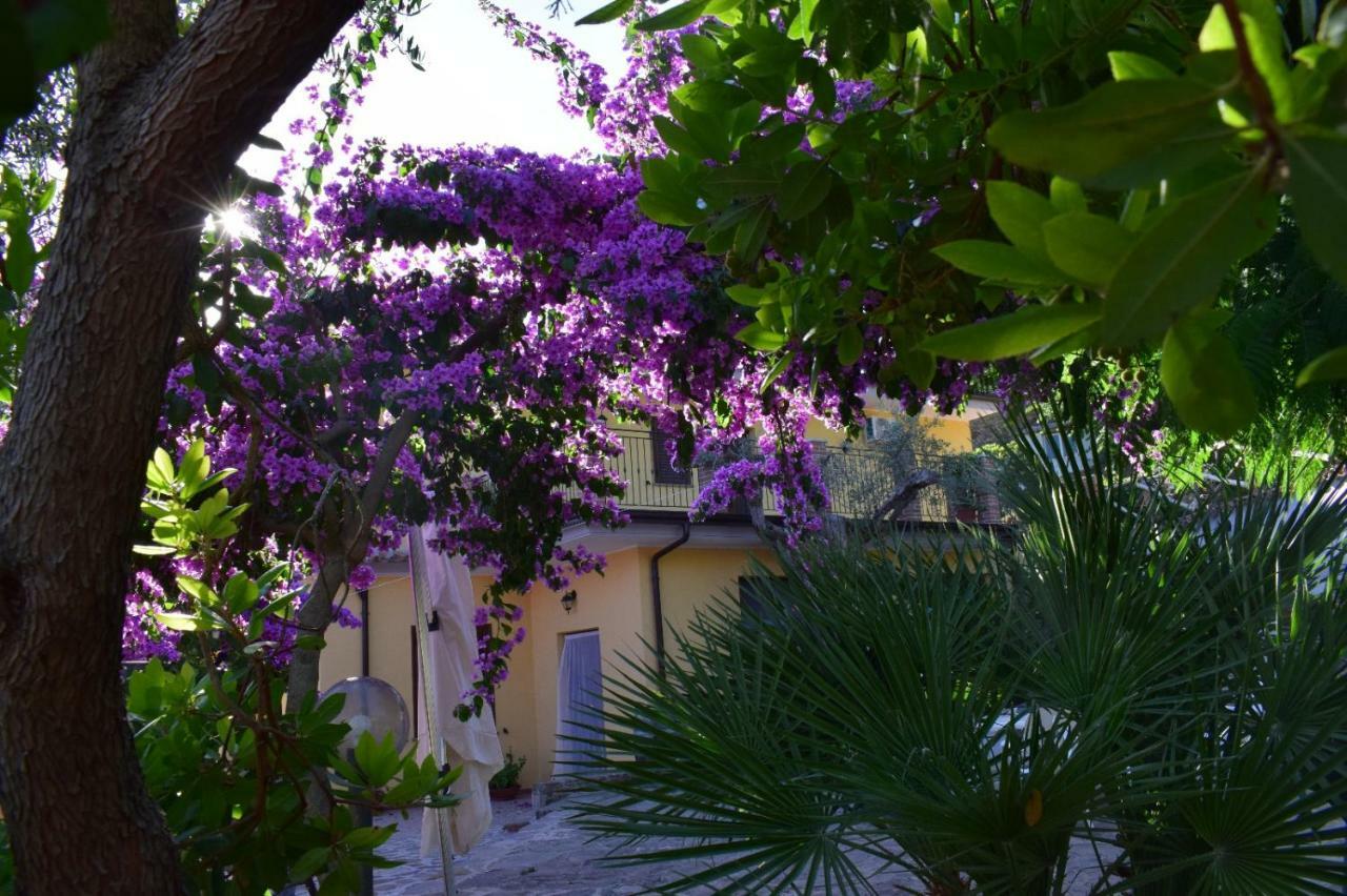 Agriturismo Il Marchese Aquara Экстерьер фото